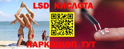 винт Будённовск
