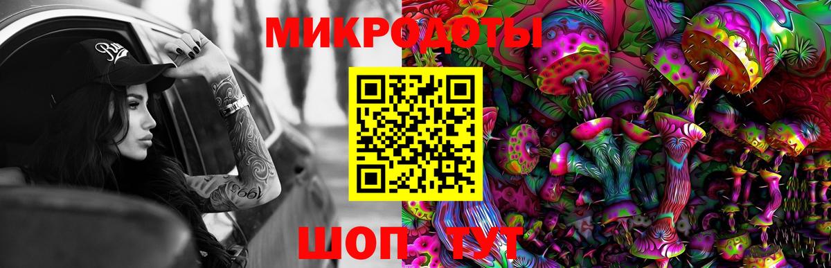 Галлюциногенные грибы Psilocybine cubensis Пыть-Ях